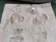 IMG_20250204_140331.jpg IMG_20250204_140331.jpg