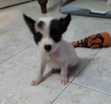 Click image for larger version  Name:	IMG_20240823_174641.jpg Views:	0 Size:	184.1 KB ID:	1240221