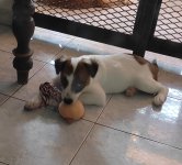 Click image for larger version  Name:	IMG_20241009_120758.jpg Views:	0 Size:	540.0 KB ID:	1240222