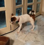 Click image for larger version  Name:	IMG_20241029_222617.jpg Views:	0 Size:	679.4 KB ID:	1240223