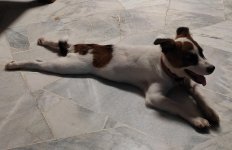 Click image for larger version  Name:	IMG_20241031_221832.jpg Views:	0 Size:	233.3 KB ID:	1240224