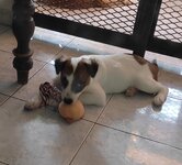 Click image for larger version  Name:	IMG_20241009_120758.jpg Views:	0 Size:	540.0 KB ID:	1240222