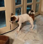 Click image for larger version  Name:	IMG_20241029_222617.jpg Views:	0 Size:	679.4 KB ID:	1240223