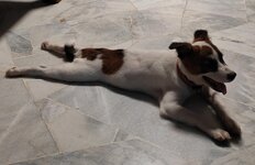 Click image for larger version  Name:	IMG_20241031_221832.jpg Views:	0 Size:	233.3 KB ID:	1240224