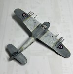 IMG_3802.jpg IMG_3802.jpg