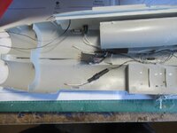IMG_0473.jpg