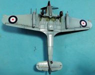 1000164497.jpg 1000164497.jpg