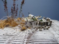 Click image for larger version  Name:	P1390211.jpg Views:	0 Size:	379.5 KB ID:	1248317