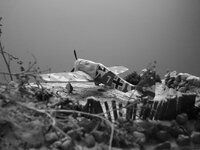 Click image for larger version  Name:	P1390247.jpg Views:	0 Size:	180.2 KB ID:	1248323