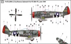 Steven_P47D_082.jpg Steven_P47D_082.jpg