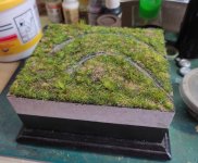 1000169349.jpg 1000169349.jpg