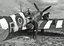 Click image for larger version Name: InvasionStripes_10.jpg Views: 1 Size: 522.3 KB ID: 1236856 Click image for larger version Name: InvasionStripes_10.jpg Views: 1 Size: 522.3 KB ID: 1236856