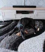 Click image for larger version  Name:	WhatsApp Image 2025-02-12 at 09.47.36_f5bf273f.jpg Views:	0 Size:	321.3 KB ID:	1248742