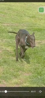 WhatsApp Image 2025-02-12 at 09.45.54_bb9eca8b.jpg