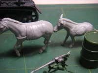 364408.jpg 364408.jpg