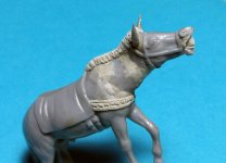 367006b.jpg 367006b.jpg