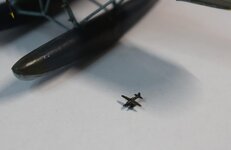 Arado x2 big n small may25 pics2  (6).jpg