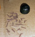 britreddev helmet camo 20nov24 (3).jpg britreddev helmet camo 20nov24 (3).jpg