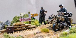 bmw r75 bike final pics no flash  (8).jpg