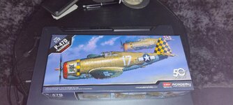 Click image for larger version  Name:	P47D Razorback plane.jpg Views:	0 Size:	218.8 KB ID:	1241656