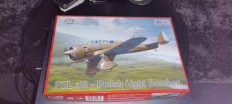 Click image for larger version  Name:	PZL 42 polish light bomber plane.jpg Views:	0 Size:	193.4 KB ID:	1241653