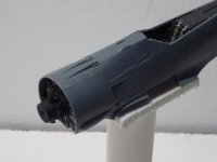 IMGP0017.jpg IMGP0017.jpg