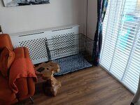 Click image for larger version  Name:	003.jpg Views:	0 Size:	402.4 KB ID:	1258997