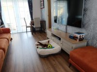 Click image for larger version  Name:	002.jpg Views:	0 Size:	360.8 KB ID:	1258996