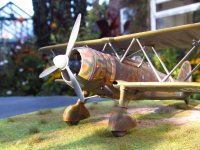 IMG_2203.jpg IMG_2203.jpg