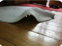 Screenshot_20250831-213325_Google.jpg Screenshot_20250831-213325_Google.jpg