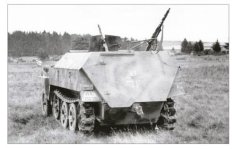 Click image for larger version  Name:	250 in factory applied camo 4.jpg Views:	0 Size:	166.8 KB ID:	1265614