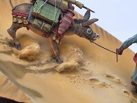 Click image for larger version  Name:	IMG_20250530_115510.jpg Views:	0 Size:	216.2 KB ID:	1259174