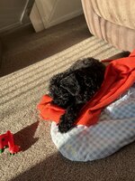 Click image for larger version  Name:	IMG_3909.jpg Views:	0 Size:	516.5 KB ID:	1242117