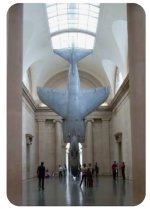 Screenshot_20251217_132249.jpg Screenshot_20251217_132249.jpg