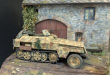 PXL_20250716_111357566 crop.jpg