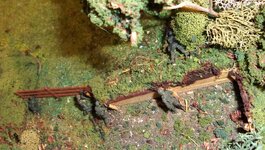 Click image for larger version  Name:	Uksqd 3.jpg Views:	0 Size:	471.8 KB ID:	1259520