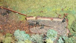 Click image for larger versionName:	Uksqd 2 Ldr.jpgViews:	0Size:	597.9 KBID:	1259519