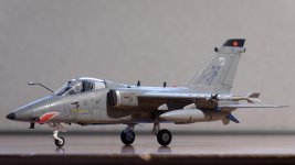 Click image for larger version  Name:	P1018478_DxO.jpg Views:	51 Size:	311.9 KB ID:	1250203