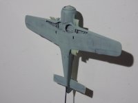 IMGP0033.jpg IMGP0033.jpg