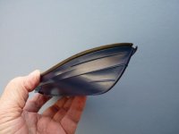 P1390285.jpg P1390285.jpg