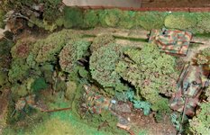 Tigers 322 323 214 215 003 Osts E n F.jpg