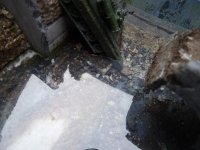 P1390099.jpg P1390099.jpg