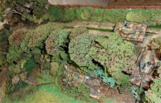 Tigers 322 323 214 215 003 Osts E n F.jpg