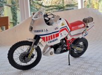 20250307_102058.jpg 20250307_102058.jpg