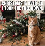 Screenshot_20251228_164523.jpg Screenshot_20251228_164523.jpg