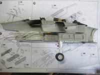 120442-e2a10427684627288839e42c0df0e6f2.jpg 120442-e2a10427684627288839e42c0df0e6f2.jpg