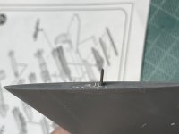 20250316_115211925_iOS 1.jpg