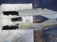 IMG_0699.jpg IMG_0699.jpg