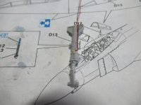 IMG_0703.jpg IMG_0703.jpg