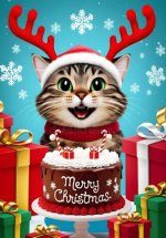 Screenshot_20241219-193234_Chrome.jpg Screenshot_20241219-193234_Chrome.jpg